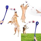 Tibroni Hundeball mit Seil Naturkautschuk (6CM), Spielzeug-Queue 48CM Wurfball Hundespiel-Ball mit Schnur - Bälle Spielzeug am Seil für Hunde - Kauspielzeug aus Naturgummi - Hunde-Spielzeug