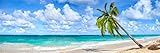 Palme Strand Meer Wellen XXL Panorama Wandtattoo Bild Poster Aufkleber W0055 Größe 300 cm x 100