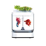 JJWC Geometrie Mini faul Aquarium USB-Aufladung Selbstreinigung Aquarium mit 7 Farben LED Light Home O