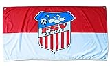 FSV Zwickau Fußball Hissfahne Fahne Flagge 140x70 cm Lizenzproduk