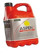 hewins Aspen 2-Takt-Alkylat-Kraftstoff 5L Kettensäge Heckenschere Rasentrimmer Geb