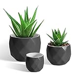 T4U Klein Sukkulenten Töpf 3er-Set, Keramik Blumentopf Innen Pflanzentopf mit Entwässerungsloch Schwarz für Kaktus, Kräuter, Miniaturpflanzen (Pflanze Nicht Enthalten)
