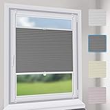 Sekey Premium Plissee - Hochwertiges Faltrollo ohne Bohren - 70 x 130cm - Jalousie für Fenster & Tür - Sonnenschutz - lichtundurchlässig - G