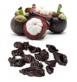 Garcinia Cambogia, getrocknet, Entier = 100 g