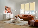 sunlines Smart Style Elektrisches Rollo, Polyester, Creme, 180 x 180