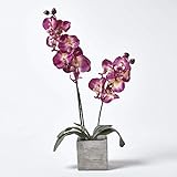 Homescapes Künstliche Blume, Orchidee Burgunderrot, 57