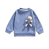 YQYJA Kleinkind Baby Mädchen Jungen Sweatshirts Kleidung Langarm Bär Pullover Tops T-Shirt Outfit, violett, 4- 5 J