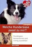 Welche Hunderasse passt zu mir - Hundetypen kennenlernen und richtig auswählen (Edition Ein Herz Für Tiere, illustriert) - 2013