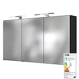 Lomadox Badezimmer Spiegelschrank LED Beleuchtung 120cm Graphit B/H/T: 120/66/20