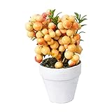 HYKITDAY Mini-Kunstpflanzen, getopft, künstlicher Beerenbaum, dekoriert mit grünen Blättern, Mini-Topf, für Küche, Zuhause, Garten, Dek