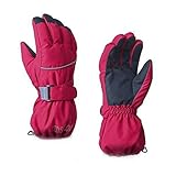 UKKO Skihandschuhe Winter Thermisch Warm Wasserdicht Radfahren Fahrrad Bike Ski Outdoor Camping Wandern Motorrad Handschuhe Sport Volle Fing