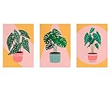 Zimmerpflanzen Bunte Boho Leinwand Malerei Kunstdruck Nordic Modern Zitat Poster Balkon Für Wohnkultur 60x80cm/23.6”x31.4”x3NoF