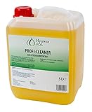 Hygiene VOS Profi Cleaner Spezialkonzentrat 5 Liter Kanister Allzweckreiniger für Haushalt Wohnwagen Wohnmobil Caravan Boot und Y