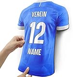 Elbeffekt Trikotlampe für Darmstadt Fans aus Holz - personalisierbares Geschenk - schenke Dein individuellen Darmstadt Fanartikel aus E