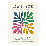 Abstrakte Matisse Ausstellung Wandkunst Bild Bunte Pflanzen Vögel Poster und Drucke Rahmenlose Leinwand Malerei A6 50x70