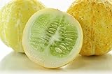 Zitronengurke 10 Samen (cucumis lemon) frisch-fruchtigen Geschmack, (Cucumber Lemon)