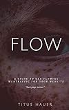 Flow: A guide to get flowing webtraffic for your website (English Edition)