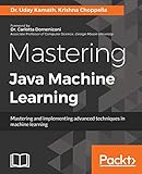 Mastering Java Machine Learning: A Java developer's guide to implementing machine learning and big data architectures (English Edition)