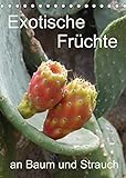 Exotische Früchte an Baum und Strauch (Tischkalender 2022 DIN A5 hoch)