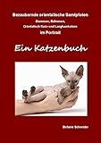 Bezaubernde orientalische Samtpfoten im Portrait - Ein Katzenbuch: Siamesen, Balinesen, Orientalisch Kurz- und Langhaark