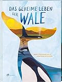 Das geheime Leben der Wale: Sachbuch über Blauwale, Delfine und Orcas, ab 7 J