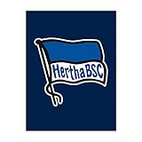 Hertha BSC Fleecedecke Logo Navy 150 x 200