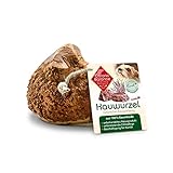 ChronoBalance® Kauwurzel M für Hunde aus Baumheide - 100% Naturprodukt ohne Zusätze - dauer Kauspielzeug, splitterfrei - das natürliche Hundespielzeug/Kauk