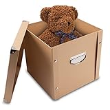 Aufbewahrungsbox mit Deckel • Pappe • Kraftpapier • ideal für IKEA Kallax und Expedit Regalen • 31.5cm x 32.5cm x 32.5cm • faltbare Aufbewahrungskiste • Faltbox mit zwei klappbare G