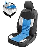 Walser 11666 Autositzauflage, B