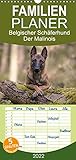 Belgischer Schäferhund - Der Malinois (Wandkalender 2022, 21 cm x 45 cm, hoch)