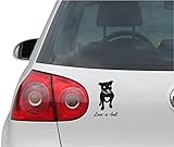 INDIGOS UG Aufkleber - Autoaufkleber - JDM - Die Cut - Love a Bull Pitbull pet Dog Heart Funny Vinyl Decal Sticker - schwarz - 88mmx127