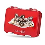 My Vesperbox – Bento Box Kinder - Lunchbox mit 4+2 Fächern - extrem robust – Brotdose – Brotbox ideal für Kindergarten und Schule… (Rot - Pferde)