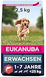 Eukanuba Hundefutter mit Lachs & Gerste für kleine und mittelgroße Rassen - Trockenfutter für ausgewachsene Hunde, 2,5 kg