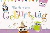 BSB Lustige Geburtstagskarte Geburtstagsgrüße Geburtstagswünsche - Pop Up Karte - Eulen - Umschlag lila, 570076-2