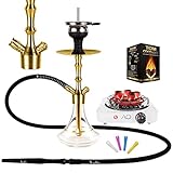 Aladin Shisha MVP 360 Gold Edition, Edelstahl-Shisha-Set mit Diffusor, Silikonschlauch-Set, Bundle mit TOM Gold Naturkohle & 1000w Kohleanzünder, Farbe:transp