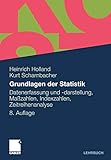 Grundlagen der Statistik: Datenerfassung und -Darstellung, Maßzahlen, Indexzahlen, Zeitreihenanalyse (German Edition)
