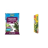 Westland Ton-Granulat für alle Topfpflanzen, Grün- und Blühpflanzen, Ton-Farbe, 10 Liter & Seramis Gießanzeiger klein, 16 cm – 2er Set Pflanzen Gießmelder, Wasserbedarf-Anzeige, in Grü