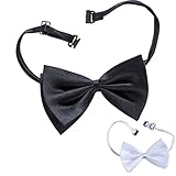 Schwarze Fliege Gentleman Querbinder schwarz 20er Jahre Anzugfliege Theater Las Vegas Mafia Fasching Charleston Smokingfliege Anzug Smoking Schleife Gangster Mottoparty Accessoire Karneval Kostü