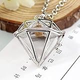 CJSZSD 2PCS Herz Medaillon mit füllbarer Glaskugel Glas Urne Medaillon Anhänger Halskette Memory Medaillon Halskette Füllbarer Schmuck