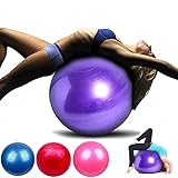 65cm Gymnastikball, Pilates Ball, Yoga Ball Fitnessball, Sitzball Büro, als Fitness Yoga Core Büro-Stuhl, als Fitness Kleingeräte, Extra Dick, rutschfest, Berstsicher Pezzi Ball mit Luftpumpe, R