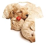 SNPQ Unisex 3D Aufdruck T-Shirts,Unisex Kurzarm Lose Hemd 3D Gedruckt Golden Retriever Welpen Tier Grafik Atmungsaktive O-Neck T-Shirts Geschenk Für Frauen Männer Jugend Geburtstag, 4XL