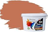 RyFo Colors Silikonharz Fassadenfarbe Lotuseffekt Trend Orangetöne Terracotta 10l - bunte Fassadenfarbe, weitere Orange Farbtöne und Größen erhältlich, Deckkraft Klasse 1