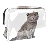 Kosmetiktasche für Frauen Nette Fette Katze Entzückende Geräumige Kosmetiktaschen Reise wasserdichte Kulturbeutel Zubehör Organizer 7,3x3x5,1 Z