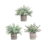 Künstliche Pflanzen 3 Stück Mini kunstpflanzen klein mit Topf zum Dekorieren von Schreibtischen,Schlafzimmer, Küchen, Schreibtische, Gartendekorationen (Hellgrün)