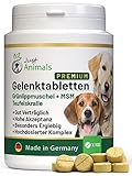 Just Animals Gelenktabletten für Hunde mit Grünlippmuschel, MSM, Teufelskralle, Bierhefe, Curcuma (100 Tabletten) für Hunde Aller Rassen und j