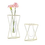 Modern Blumenvase Glas Reagenzgläser Für Blumen Gold Vasen Set Für Tischdeko Glasvase Klein Mit Metall Ständer Für Geburtstag Hochzeit Hydroponik Dek