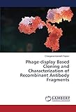 Phage-display Based Cloning and Characterization of Recombinant Antibody Frag