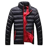 Herren Winterjacke Steppjacke Jacke mit Stehkragen Winter Warm Steppjacke Leichte Outdoor Jacke Puffer Jacke Winter Mantel Übergangsjacke Kurz Winterjacke für Freizeit Casual D