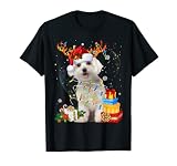 Malteser Weihnachten Hunde Rentierlichter lustige Geschenk T-S