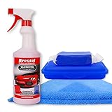 Brestol Reinigungsknete Set1 200 g Knete blau mittelstark + Box + 750 ml Spezial GLEITMITTEL + Poliertuch - Polierknete Lackknete Clay-Bar Auto-Lack-Knete - entfernt Baumharz Insek